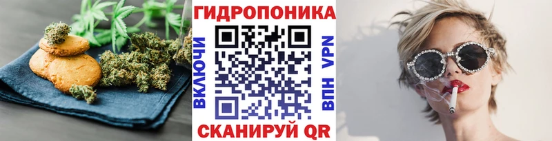 где купить наркоту  Княгинино  это какой сайт  Cannafood конопля 