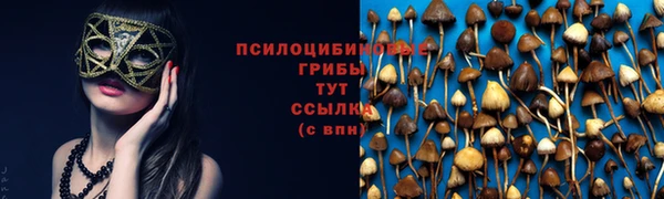 марки lsd Богородицк